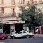 fes-le Rex.jpg