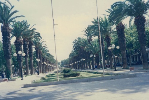 avenue de France (Hassan II)-2