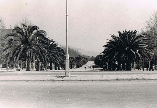 Avenue de France 1950.jpg