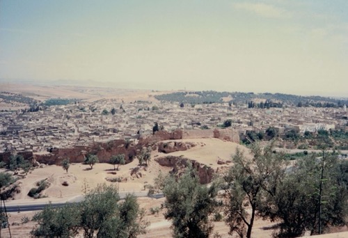fes-vue des Mérinides.jpg