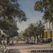 Le Zanzi